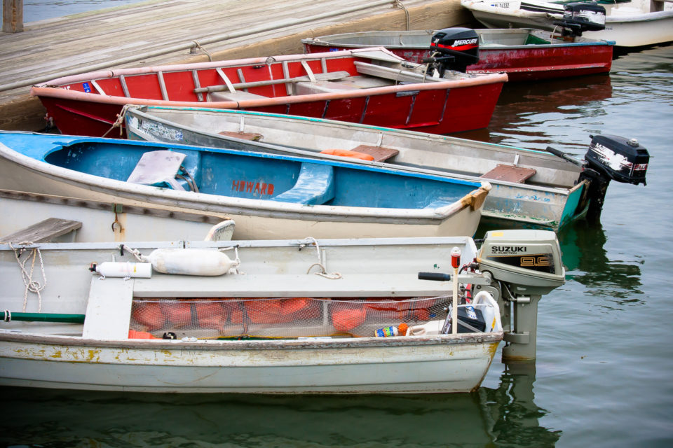 20090625_829_MaineVacation-960x640.jpg