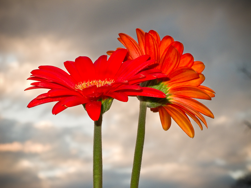 Spring_2-1.jpg