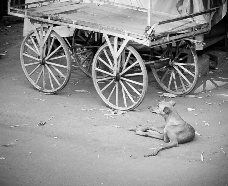 20080222_India-Feb-2008_1677-960x783.jpg