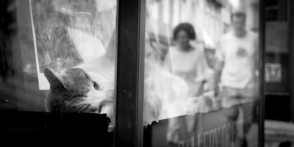 20110528-_MG_1007-2
