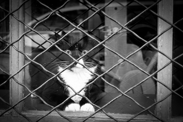 20110528-_MG_1022-Edit-2-1-2